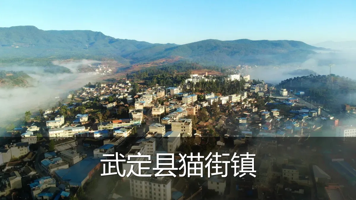武定县猫街镇