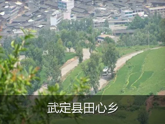 武定县田心乡