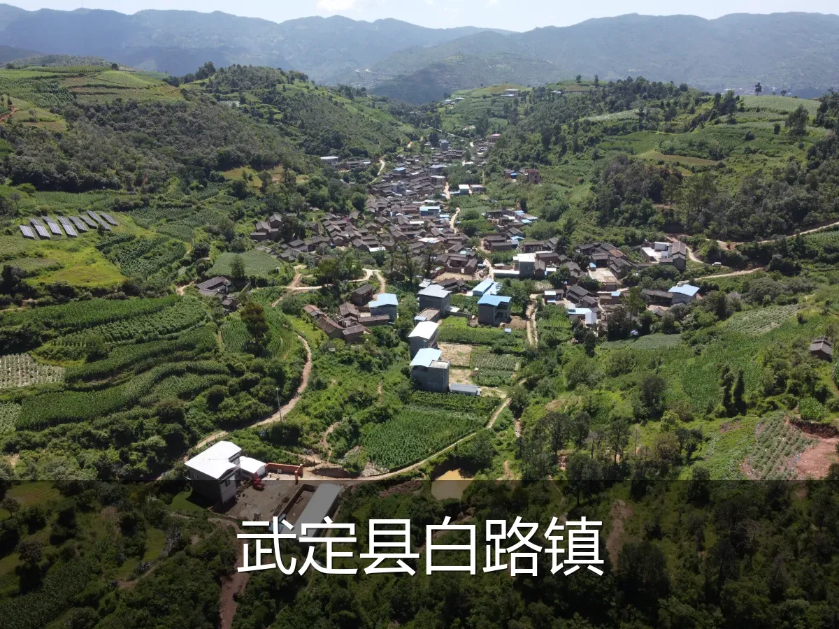 武定县白路镇
