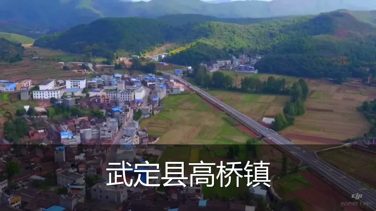 武定县高桥镇
